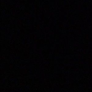 Meet your Posher, Rose